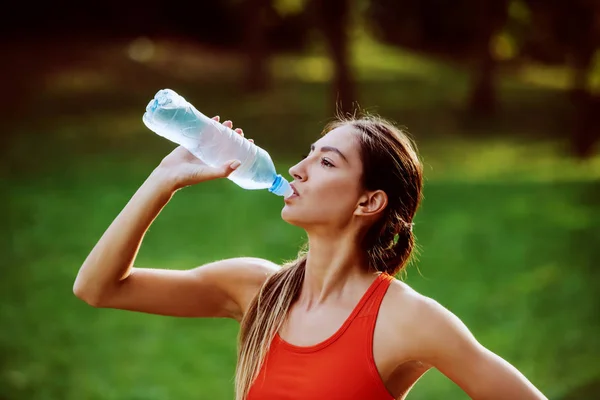 Aantrekkelijke Dorstige Kaukasische Fit Brunette Sportkleding Met Paardenstaart Natuur Drinkwater — Stockfoto