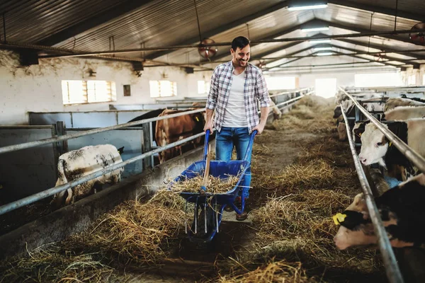 Full Length Handsome Caucasian Farmer Jeans Plaid Shirt Pushing Wheelbarrow — Stock Photo, Image