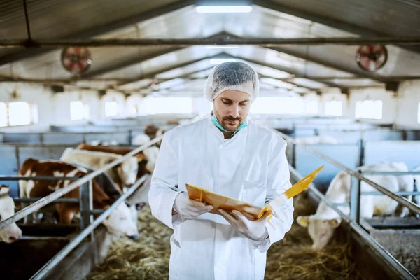 Veterinário Caucasiano Grave Roupas Proteção Celeiro Olhando Para Documentos Fundo — Fotografia de Stock