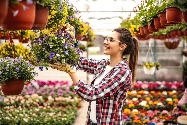 Jonge Glimlachende Toegewijde Vrouwelijke Bloemist Houden Pot Met Bloemen Opknoping — Stockfoto