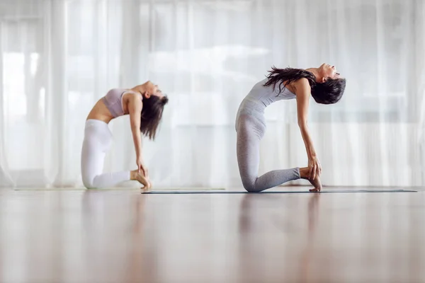 Zijaanzicht Van Twee Fitte Blanke Meisjes Camel Yoga Positie Yoga — Stockfoto