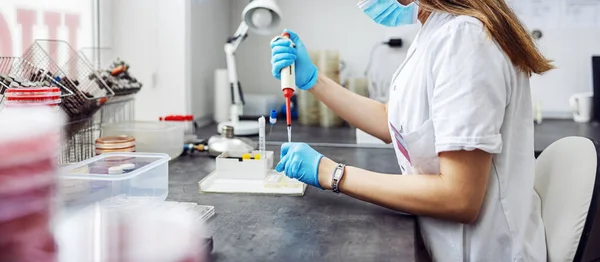 Лаборант Який Сидить Лабораторії Приймає Зразки Сечі Перевірки Бактерій — стокове фото