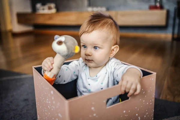 Грайливий Кавказький Маленький Блондин Сидить Коробці Бавиться Своєю Улюбленою Іграшкою — стокове фото