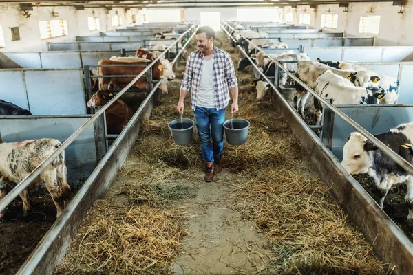 Full Length Handsome Caucasian Farmer Plaid Shirt Jeans Holding Buckets — Stock Photo, Image