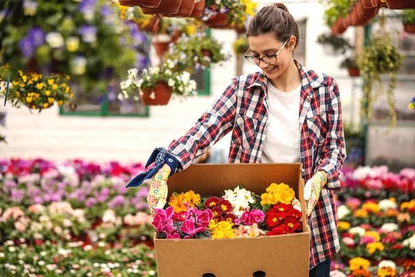 Joven Florista Sonriente Sosteniendo Caja Flores Colores Mirándola Pedido Debe — Foto de Stock
