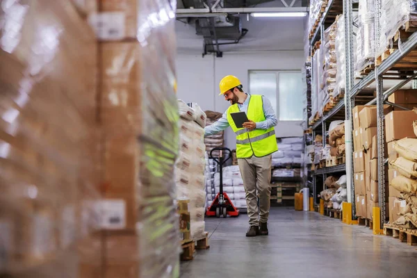 Comprimento Total Supervisor Barbudo Atraente Andando Pelo Armazém Usando Tablet — Fotografia de Stock