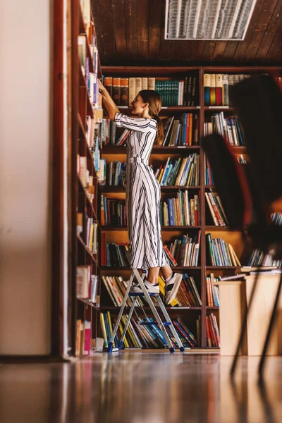 はしごの上に立つ若い魅力的な司書の完全な長さと本を探す — ストック写真