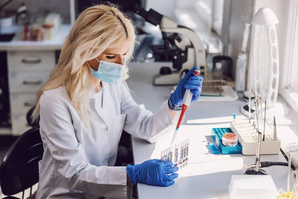 Attractive Dedicated Blond Female Lab Assistant Face Mask Rubber Gloves — Stock Photo, Image