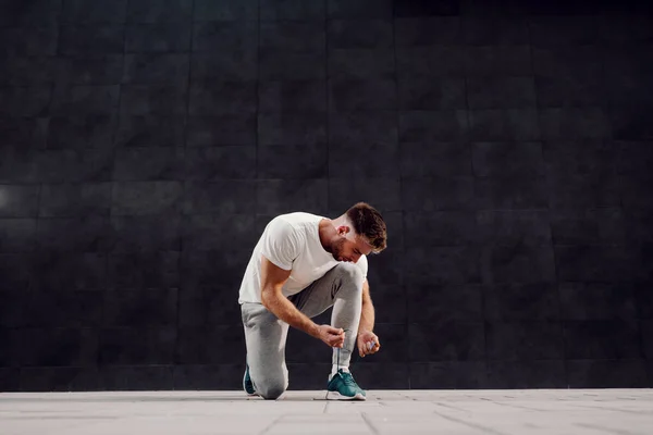 Guapo Caucásico Barbudo Rubio Musculoso Hombre Chándal Arrodillado Atando Cordones — Foto de Stock