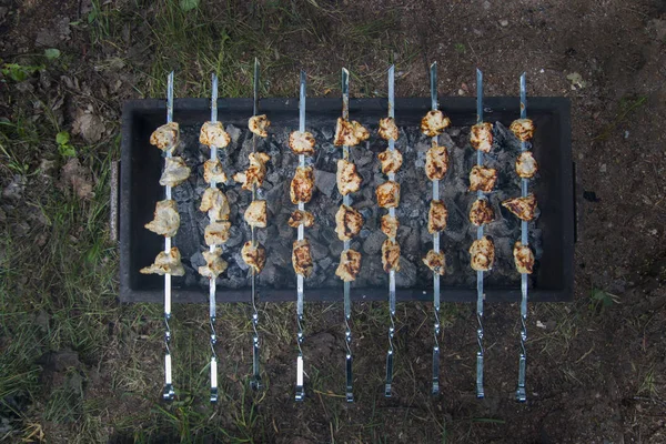 Κρέας κοτόπουλου για το σουβλάκι σε σχάρα mangal καυτό άνθρακα μαγείρεμα. — Φωτογραφία Αρχείου