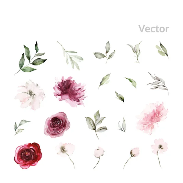 Conjunto Flores Vector Acuarela Para Tarjetas — Vector de stock