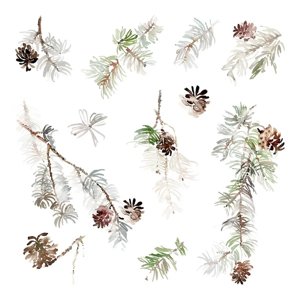 Set Watercolor Christmas Pine Branches Cones Create Greeting Cards — Stock Photo, Image