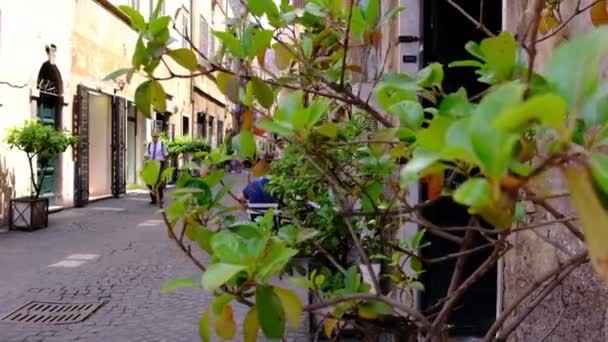 2018 を歩く観光客で街の生活のビデオと緑のローマ旧市街の路地にて自然 — ストック動画