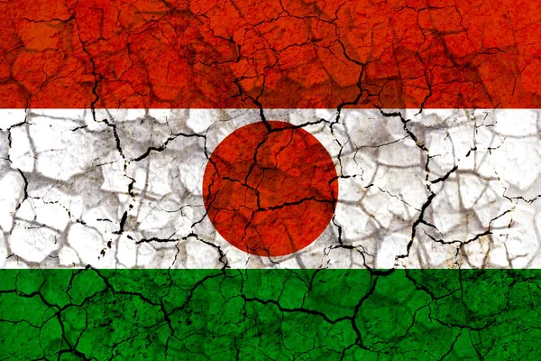 Niger Ország Zászló Szimbólum Repedt Szutykos Falra Festett Szárazság Nehézségeket — Stock Fotó