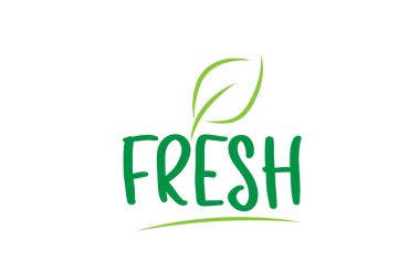 yaprak simgesi logo tasarımı ile taze yeşil kelime metin 