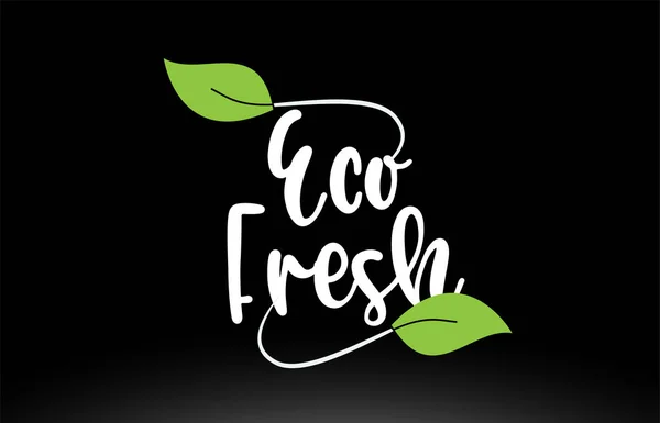 Eco frischen Worttext mit grünem Blatt Logo-Symbol-Design — Stockvektor