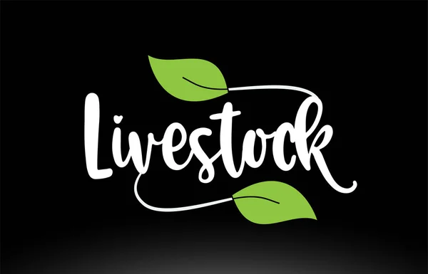 Vieh Wort Text mit grünem Blatt Logo-Symbol-Design — Stockvektor