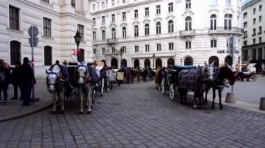 Viyana, Avusturya. Mart 18, 2019 - 4k video Popüler at arabası fiacre veya Fiaker Michaelerplatz, Wien Alte Hofburg Sarayı yakınında turist bekliyor çizilmiş