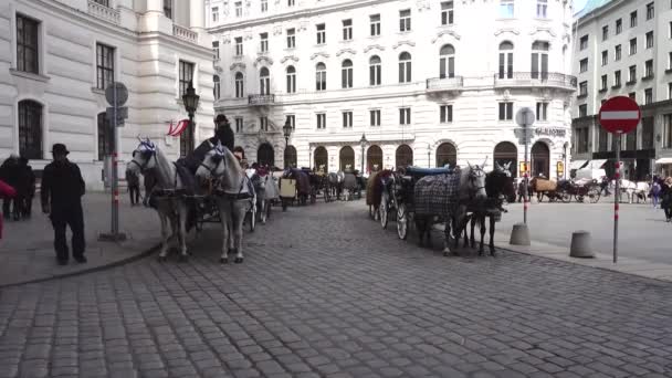 Vídeň Rakousko Březen 2019 Video Oblíbený Koňský Fiakr Nebo Fiaker — Stock video