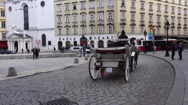 Wien Österreich März 2019 Video Single Two White Horse Drawn — Stockvideo