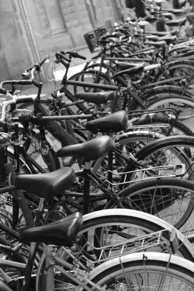 Row of bicycles black and white photography
