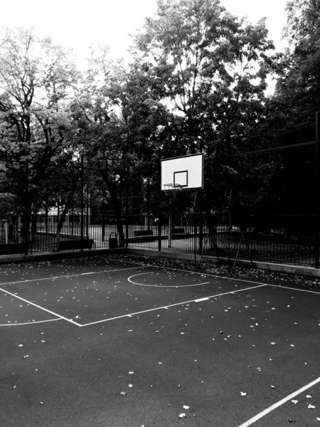 Quadra vazia com arco de basquete árvores e cerca — Fotografia de Stock