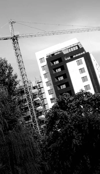 Black and white construction building with crane and trees