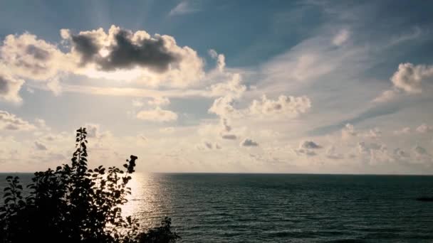 Vidéo Détente Mer Calme Océan Avec Gros Nuages Oiseaux Arbre — Video