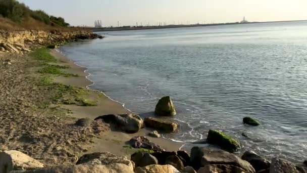 Video Yosun Ile Izole Bir Sahil Kıyısında Veya Okyanusta Kum — Stok video