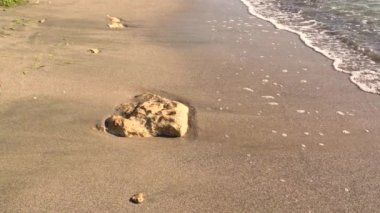 4k video Taş ve çok sakin dalgalar kırma veya kumlu plaj kıyısında sıçrama