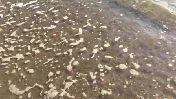 Video Nahaufnahme Von Sehr Ruhigen Wellen Die Sandstrand Oder Auf — Stockvideo