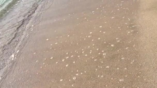Wideo Bliska Bardzo Spokojne Fale Kruszenia Lub Rozpryskiwania Piaszczystej Plaży — Wideo stockowe