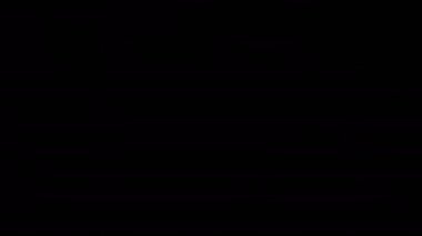 Olay, konser, başlık, sunum, sorunsuz görüntüleri ilmekledi sitesi, Dvd, müzik klipleri, video art, tatil gösterisini, parti, vb hareket tasarımcıları, editörler ve Vj s led ekranlar için de yararlı.