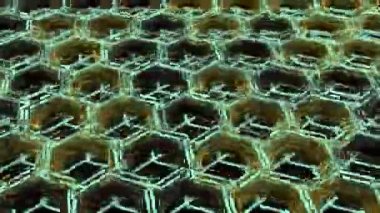 Olay, konser, başlık, sunum, sorunsuz görüntüleri ilmekledi sitesi, Dvd, müzik klipleri, video art, tatil gösterisini, parti, vb hareket tasarımcıları, editörler ve Vj s led ekranlar için de yararlı.