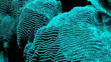 Rüyalar dijital görsel animasyon dalgaları