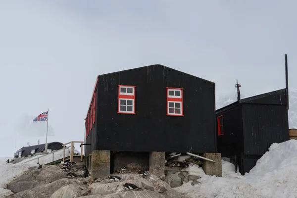 Puerto Lockroy Estación Antártica — Foto de Stock