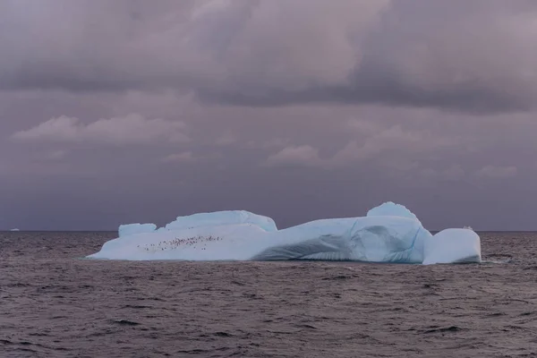 Антарктичний Морський Пейзаж Айсберг — стокове фото