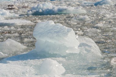 Buzul parçasının şaşırtıcı görünümü