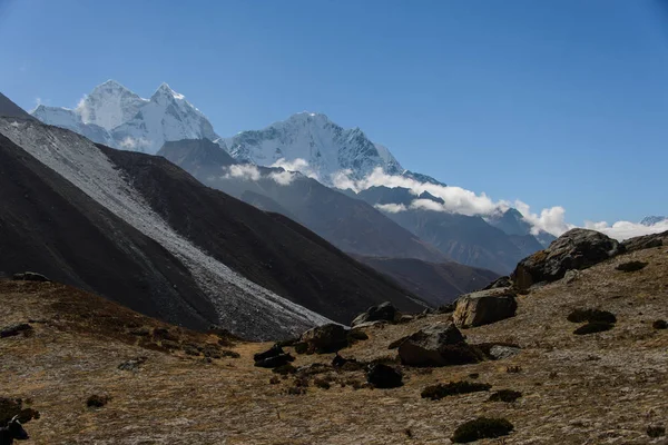 山牦牛在尼泊尔 — 图库照片