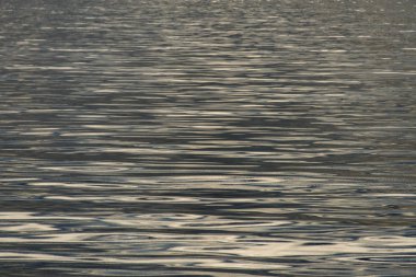 soyut su dalgaları arka planı