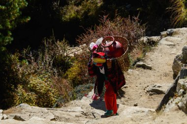 Nepal Himalayalar trekking
