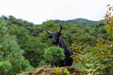 Nepal Himalayalar trekking