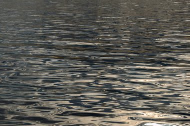 soyut su dalgaları arka planı