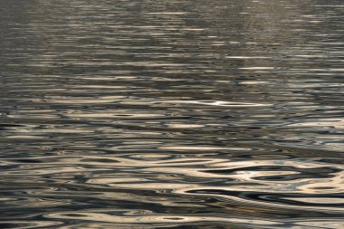 soyut su dalgaları arka planı