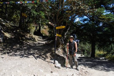 Nepal Himalayalar trekking