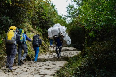 Nepal Himalayalar trekking