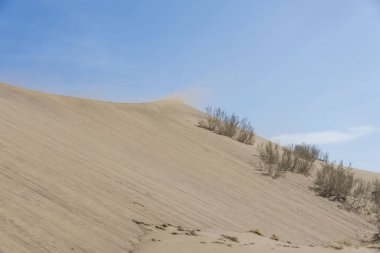 Gündüz çöl manzaraya