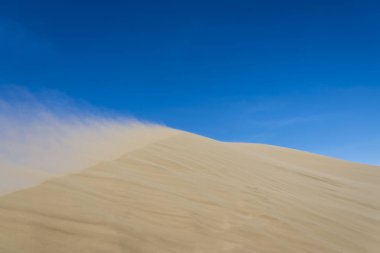 Gündüz çöl manzaraya