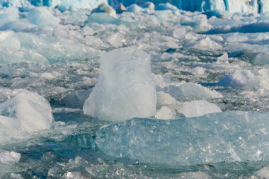 Buzul parçasının şaşırtıcı görünümü