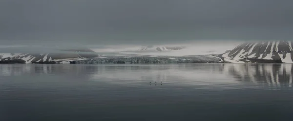 Roca Con Nieve Mar —  Fotos de Stock